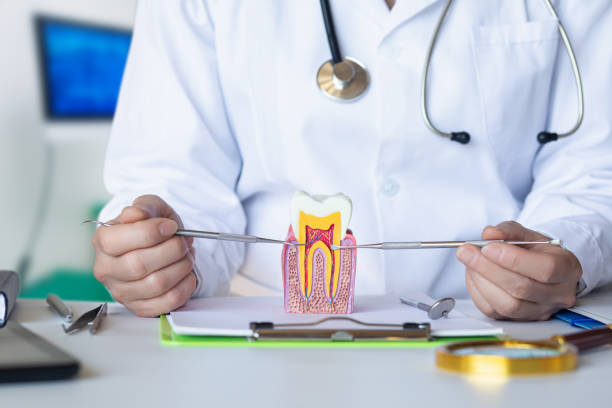 Best Emergency Dental Care for Abscessed Tooth in Nevada, MO